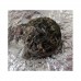 2014 COFCO CNNP Silver Buds Green Mini Yunnan Pu-erh Tuocha 200g 2014 COFCO CNNP Silver Buds Green Mini Yunnan Pu-erh Tuocha 200g
