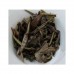 2013 Yue Guang Bai Premium Loose Leaf Tea 50g 2013 Yue Guang Bai Premium Loose Leaf Tea 50g