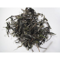 2026 Spring Gedeng Arbor Maocha 50g