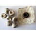 2013 COFCO CNNP Ripe Mini Yunnan Tuocha 300g 2013 COFCO CNNP Ripe Mini Yunnan Tuocha 300g