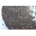 2009 Dayi 8582 Green Pu-erh Tea Cake 357g
