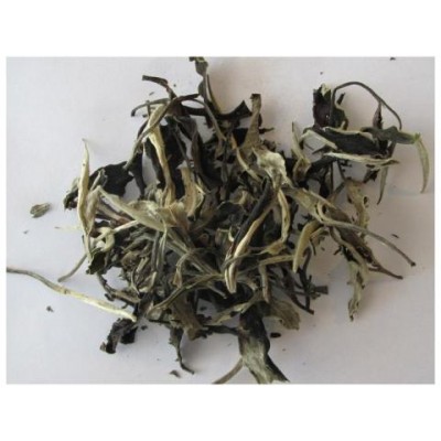 2013 Yue Guang Bai Premium Loose Leaf Tea 50g